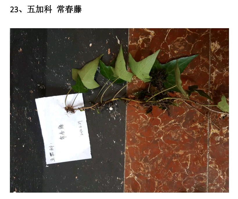 Screenshot_2016-07-02-22-58-50_cn.wps.moffice_eng.png