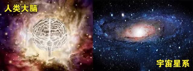 大脑与宇宙星系.jpg